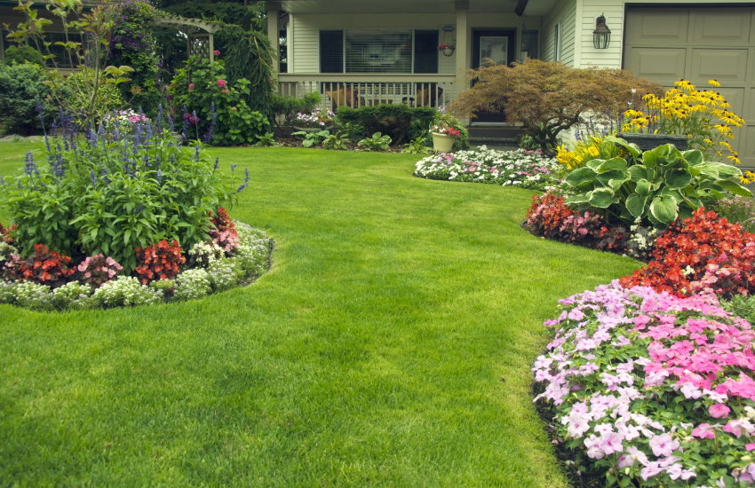 Yard Renovations / Landscape Makeovers